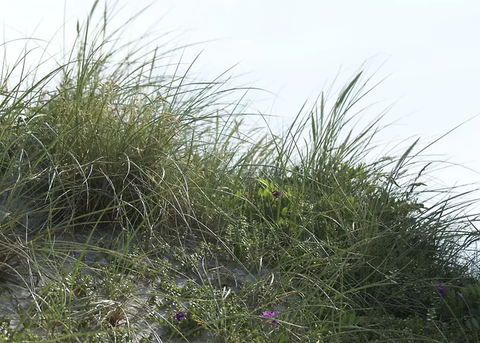 Appartement Boetticherstrasse 4, App 11 